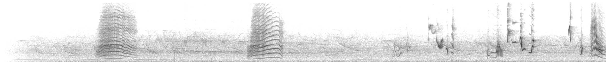 Katzenspottdrossel - ML635523250
