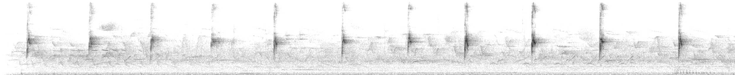 Weißkehlammer - ML635523266