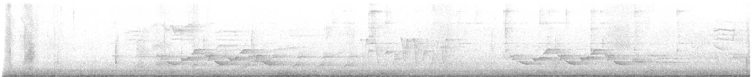 Connecticut Warbler - ML635523627
