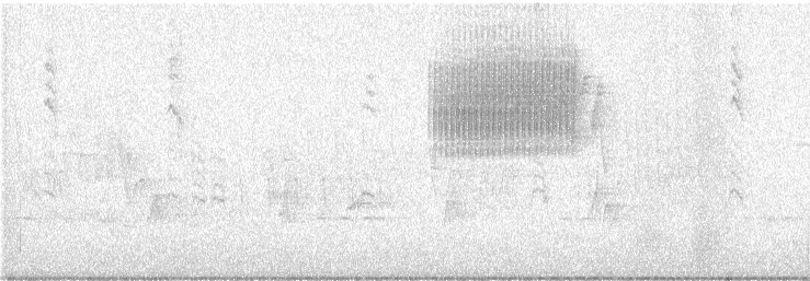 Blue-winged Warbler - ML635524808