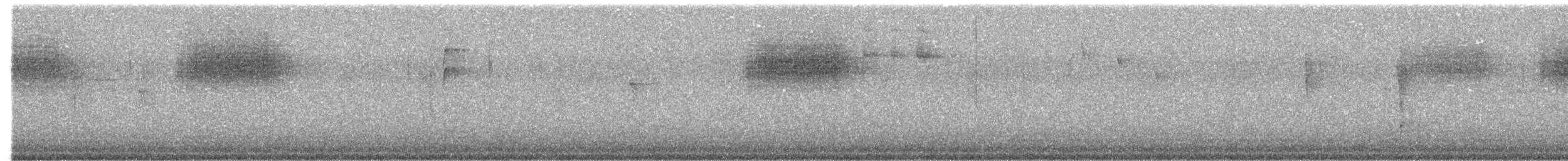 Tyranneau à sourcils blancs - ML635527404