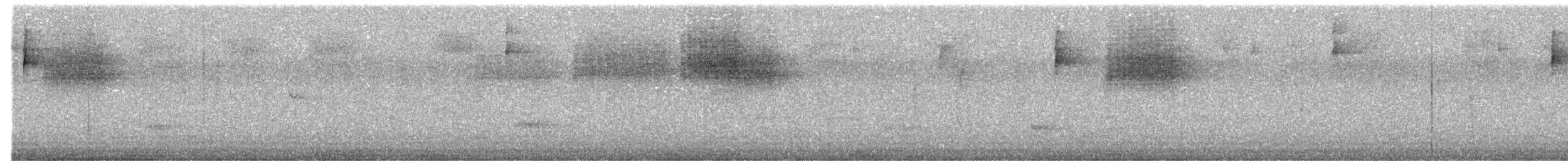 Tyranneau à sourcils blancs - ML635527503