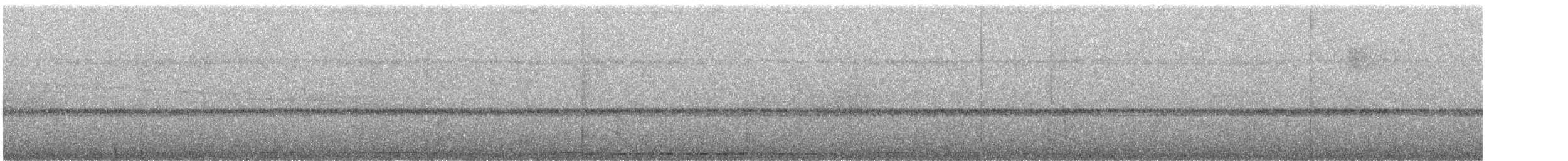 Variegated Antpitta - ML635528749