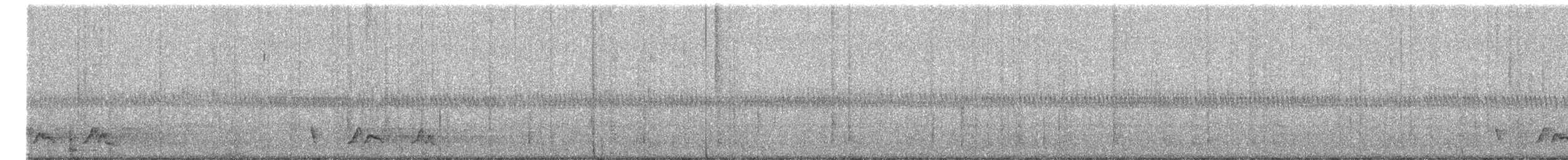 Chuck-will's-widow - ML635529248