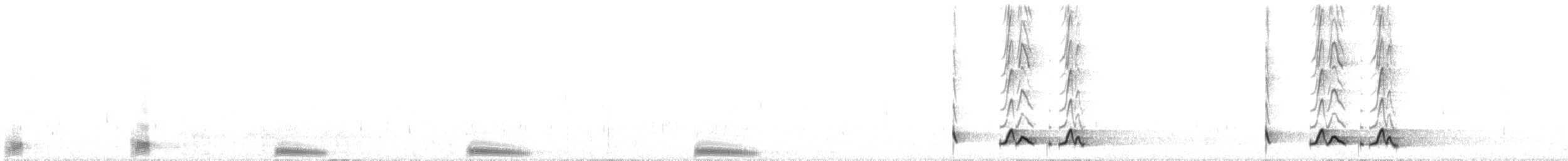 Carolinanachtschwalbe - ML63553041