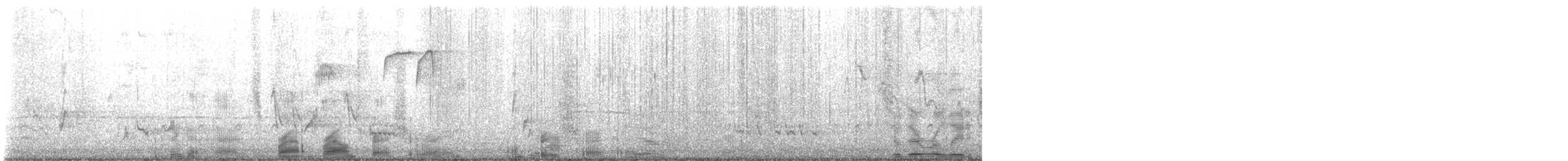 Brown Thrasher - ML635532464
