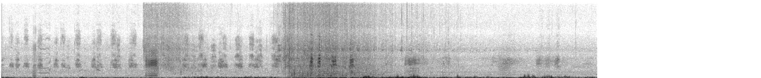 Stockente - ML635536027