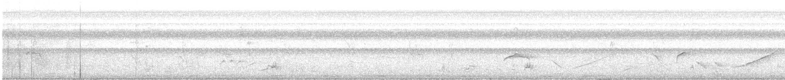 Piratic Flycatcher - ML635536714