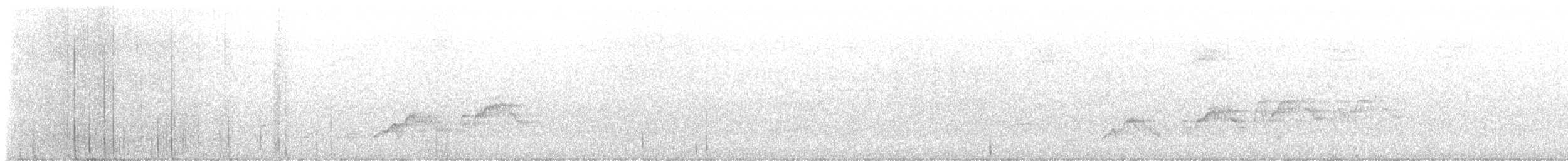 Zwergmusendrossel - ML635540136