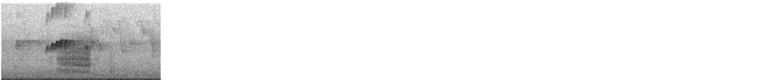 緋紅金剛鸚鵡 - ML635548574