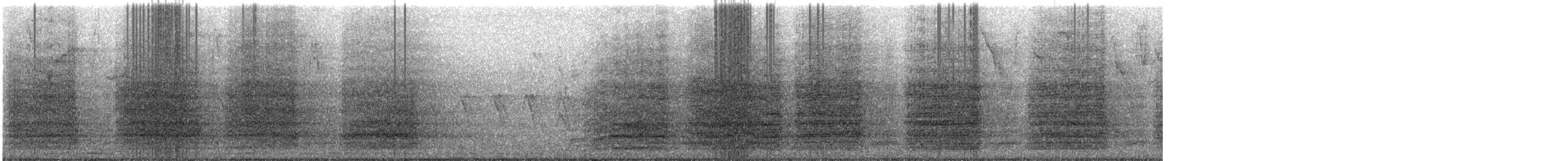 緋紅金剛鸚鵡 - ML635548683