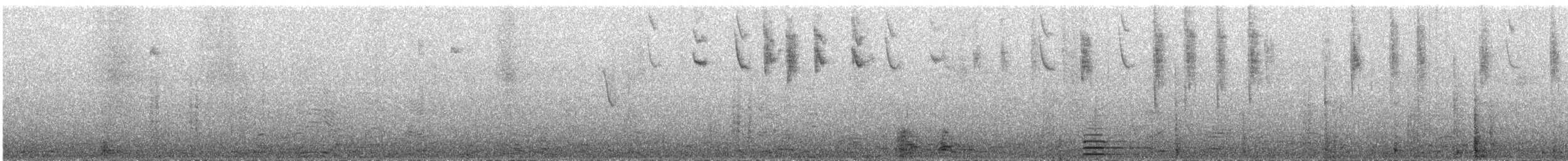 Cinereous Conebill - ML635553037