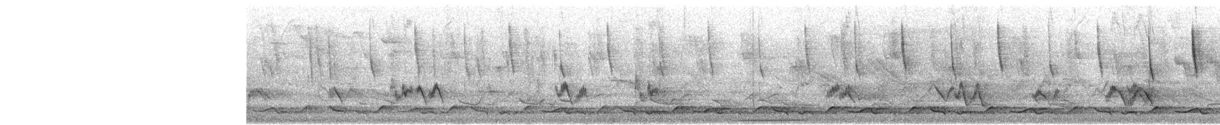 Spotted Wood-Quail - ML635555326