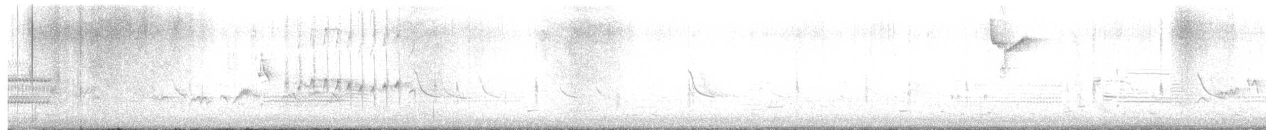 Warbling Vireo - ML635556497