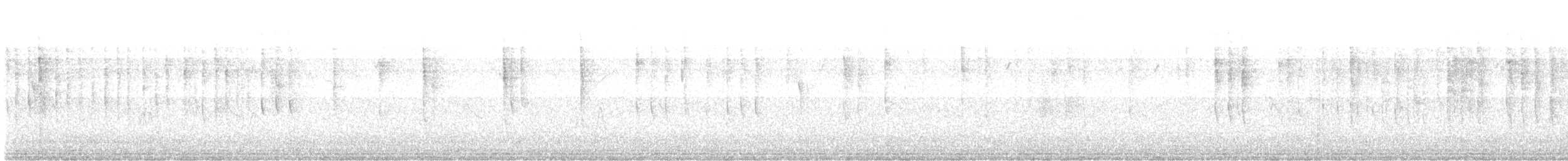 White-eared Hummingbird - ML635559962
