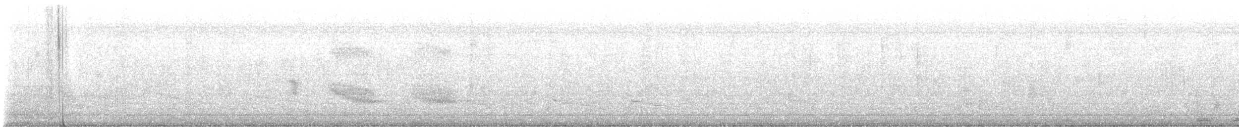 Boat-tailed Grackle - ML635561808