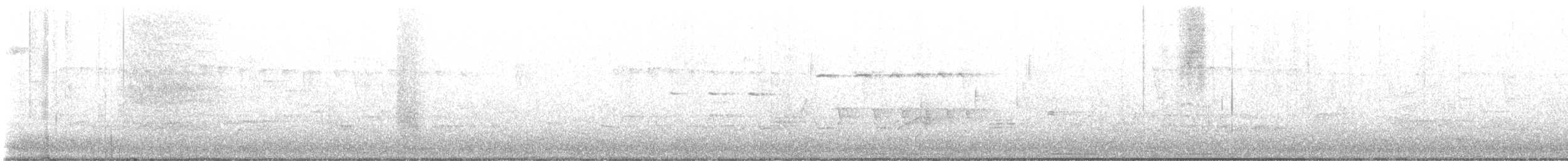 Blackpoll Warbler - ML635561993