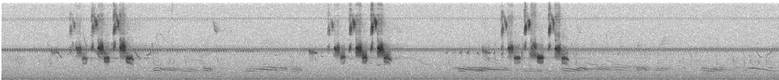 papežík americký - ML635564012