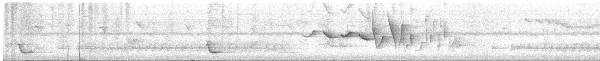 Louisiana Waterthrush - ML635564467