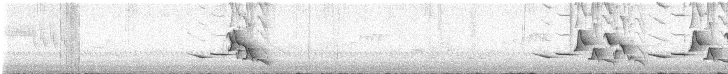 Speckle-breasted Wren - ML635564534