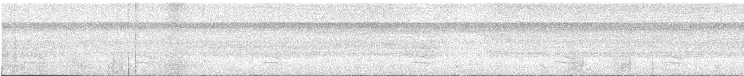 White-shouldered Antshrike - ML635567776