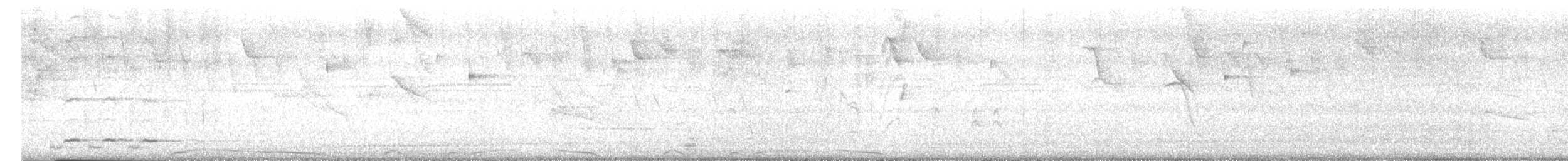 Pale-vented Pigeon - ML635571232