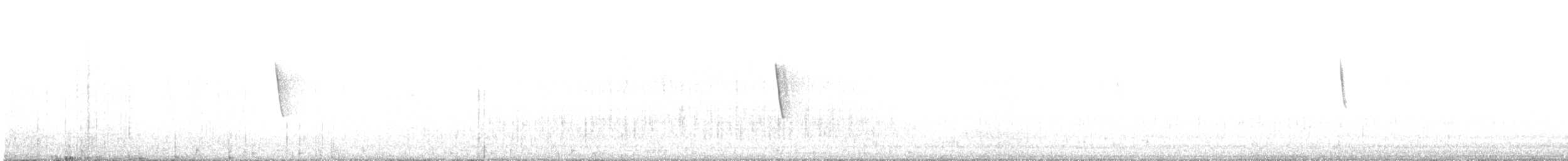 Buse tricolore - ML635573227