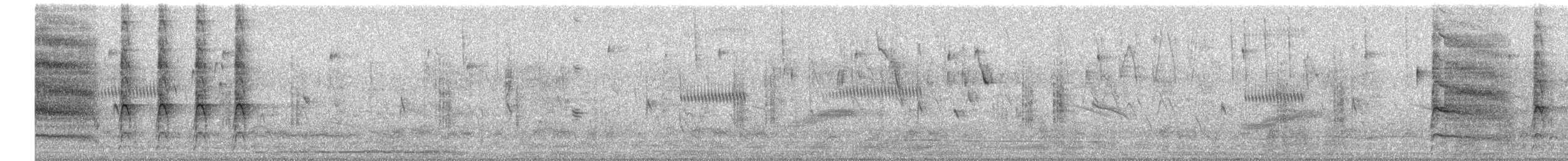 graveugle - ML635573981