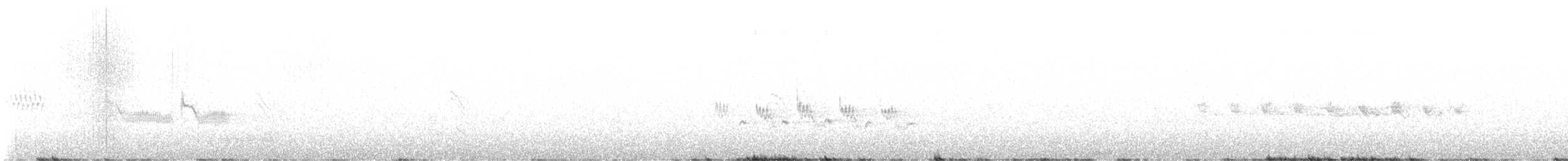 Rock Wren - ML635574562