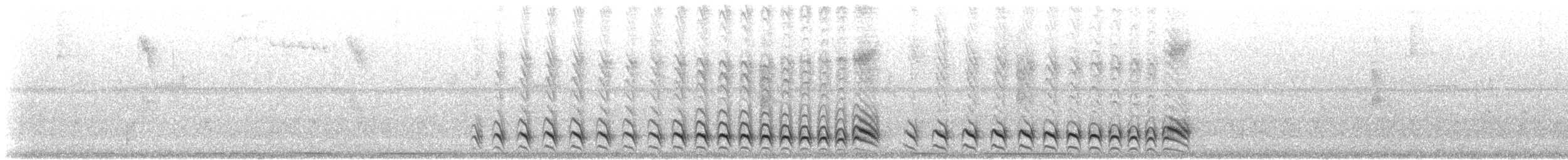 Barred Antshrike - ML635575278