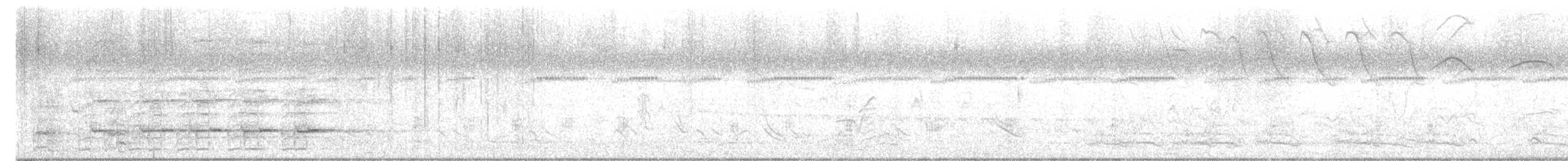 Pale-vented Pigeon - ML635576021