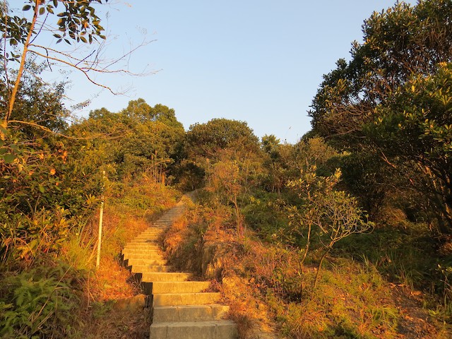 Lung Fu Shan Country Park 龍虎山郊野公園, Hong Kong, Hong Kong - eBird Hotspot