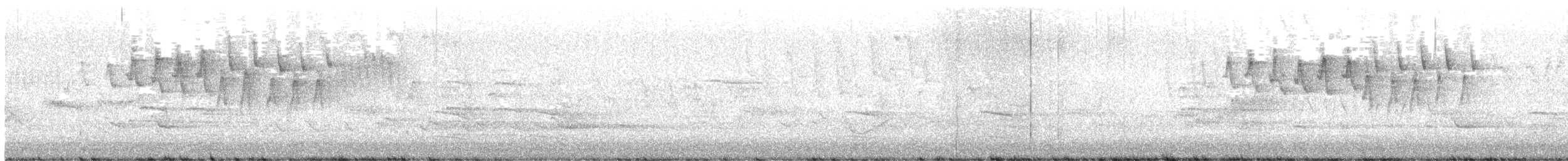 Wilson's Warbler - ML635579137