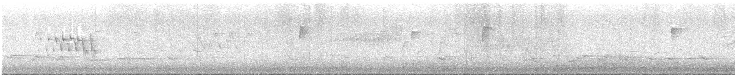 Wilson's Warbler - ML635579602