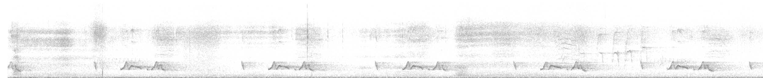 Chuck-will's-widow - ML635579857