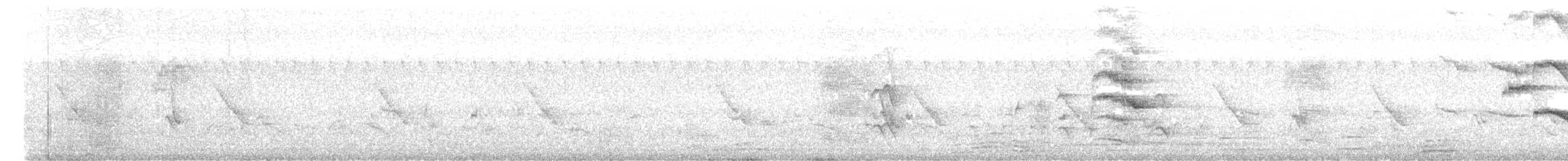 Southern Hill Myna - ML635583256