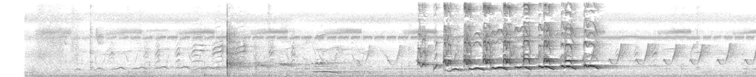 grønnebbkoel - ML635583893