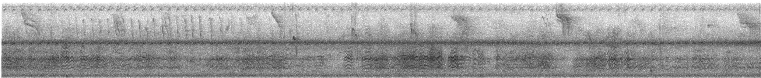 紅臉鸚鵡 - ML635589753