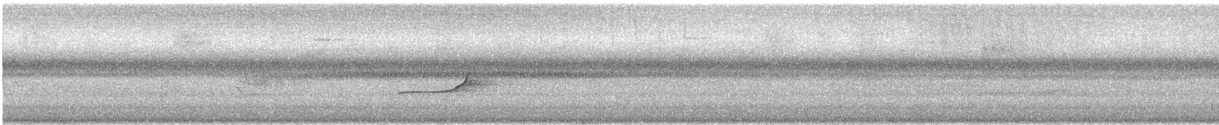 Peruvian Tyrannulet - ML635590045