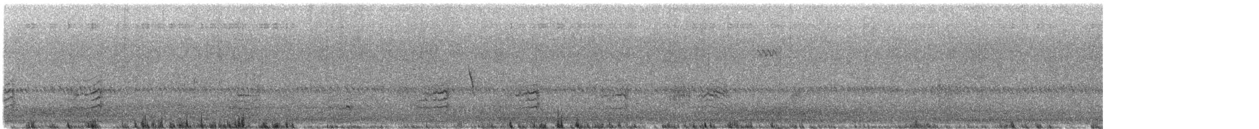 Lewin's Rail - ML635590429