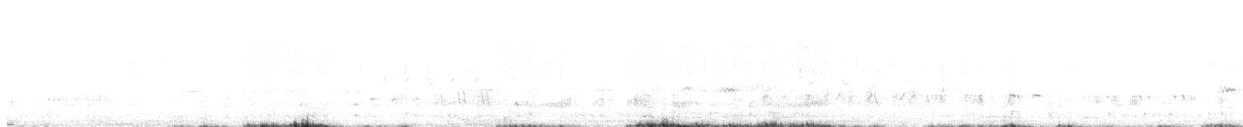 Dalmatian Pelican - ML635590775