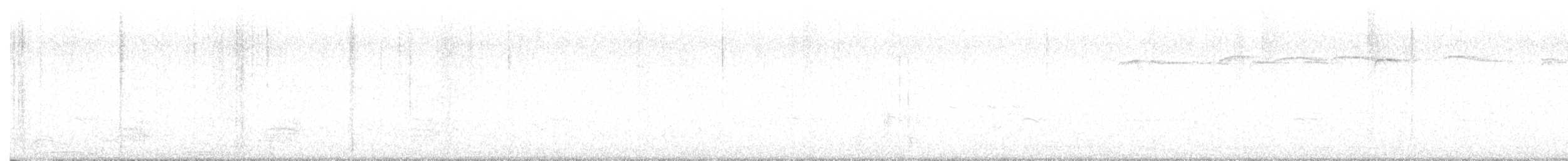 Stockente - ML635592062
