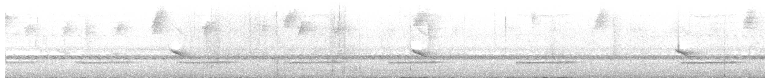 Ak Taçlı Tapakola - ML635592198