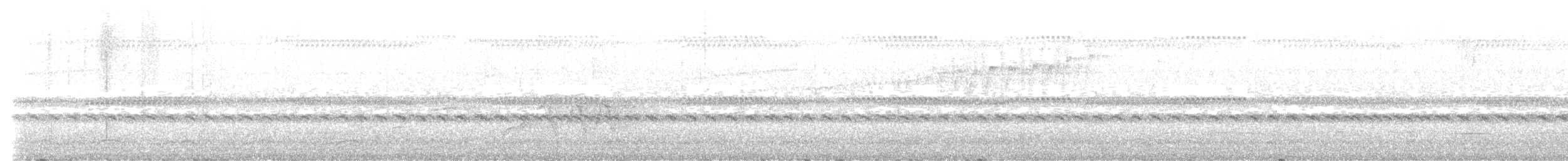 stripehodeparula - ML635592327