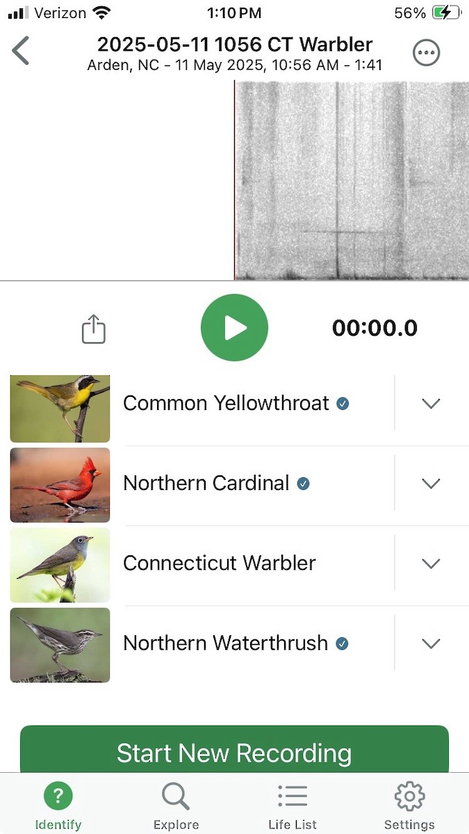 Connecticut Warbler - ML635598854