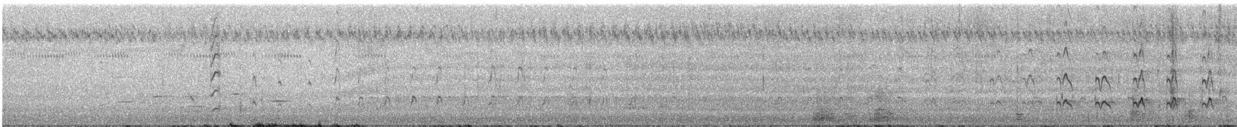 ústřičník proměnlivý - ML635598955