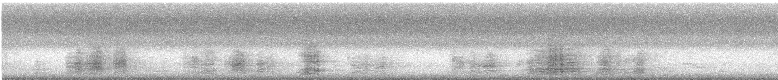 緋紅金剛鸚鵡 - ML635600098