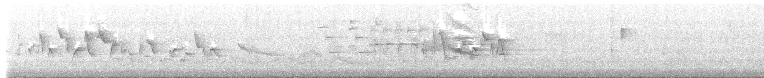 Canada Warbler - ML635600600