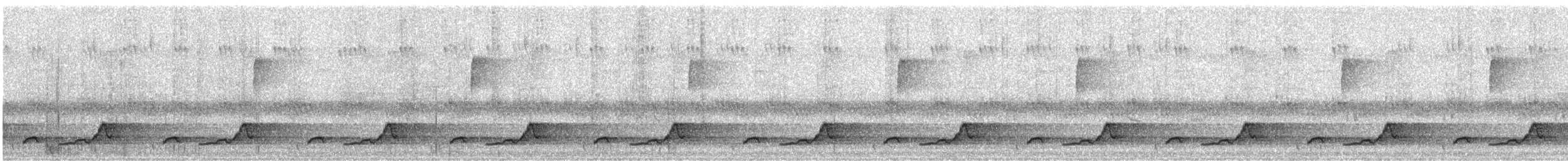 Eastern Whip-poor-will - ML635602521