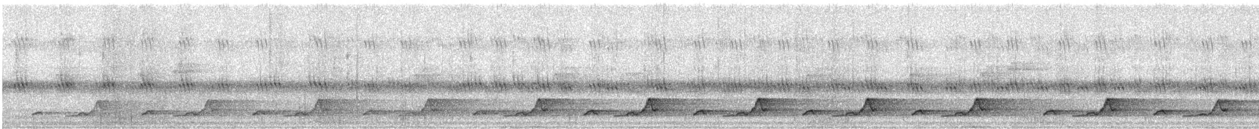 Eastern Whip-poor-will - ML635602532